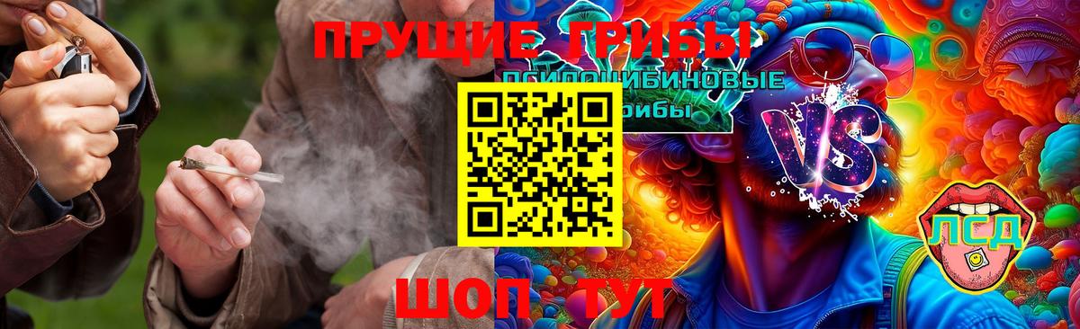 Псилоцибиновые грибы MAGIC MUSHROOMS Ступино