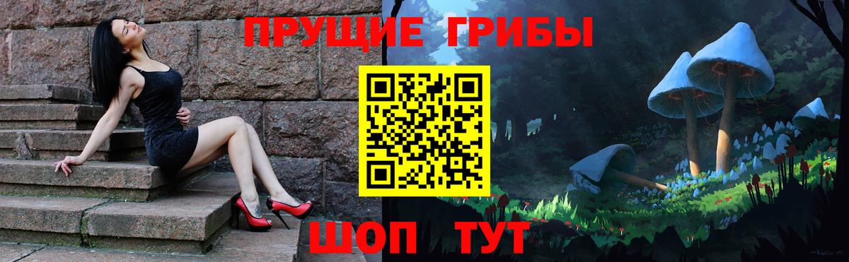 закладки  Галлюциногенные грибы MAGIC MUSHROOMS  Вход с VPN  Ступино 